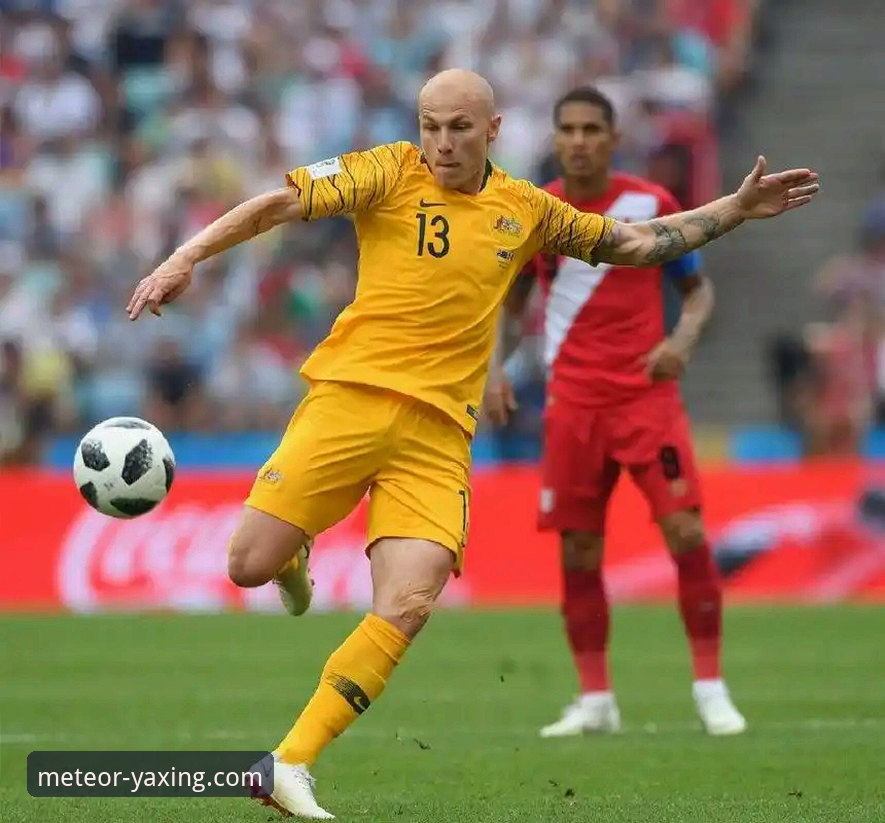 最新亚星官方网站访问 球星场外行为如何折射职业体育的公共责任?一次阿诺德“停车合影”事件的专业分析